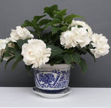 Yajutang Flowerpot blue-white with peony Ø 19