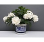 China Porzellan Blumentopf Blau-Weiß mit Pfingstrose Ø 19