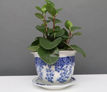 Yajutang Blumentopf Blau-Weiß mit Schmetterling Ø19