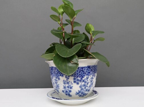 Yajutang Flowerpot Blue-White with butterfly Ø19