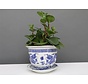 Porcelain flowerpot with dragon motif Ø 16