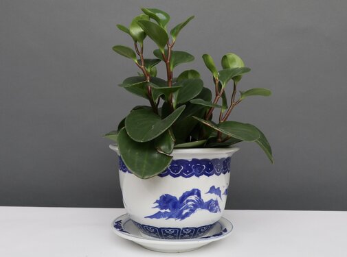 Yajutang Blumentopf Blau-Weiß mit Landschaft Ø13