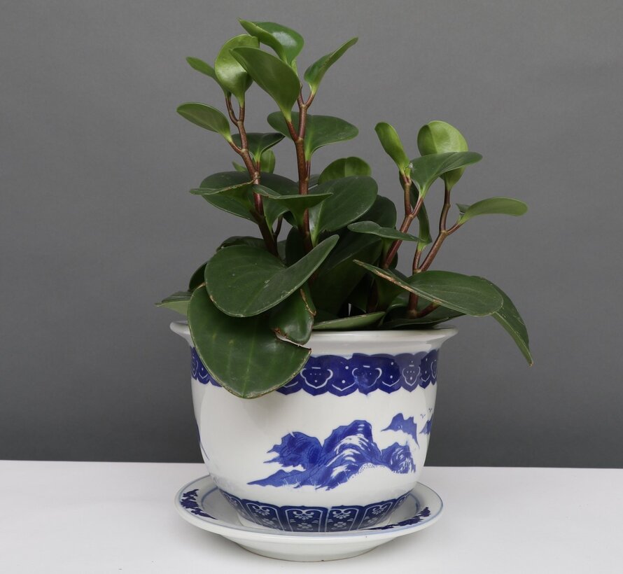 China Porcelain Flowerpot Blue-White with Landscape Ø 13