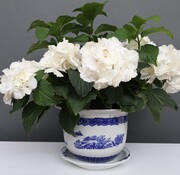 Yajutang Blumentopf Blau-Weiß mit Landschaft Ø 19