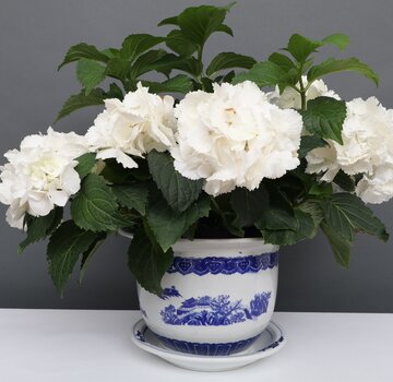 Yajutang Blumentopf Blau-Weiß mit Landschaft Ø 19