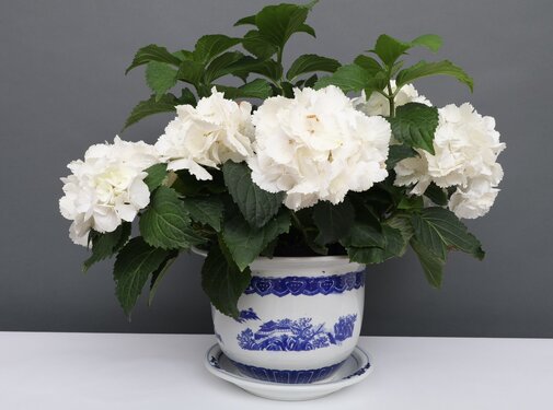 Yajutang Flowerpot Blue-White with Landscape Ø 19