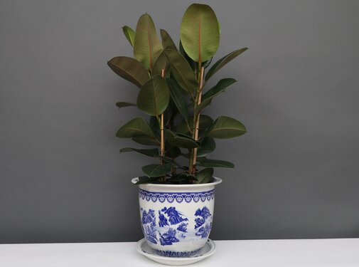 Yajutang Blumentopf Blau-Weiß mit Landschaft Ø 30
