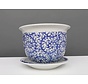 Flowerpot Blue-White & Snail Leaf Ø 19
