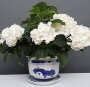 Yajutang Flowerpot Blue-White with Landscape Ø 26