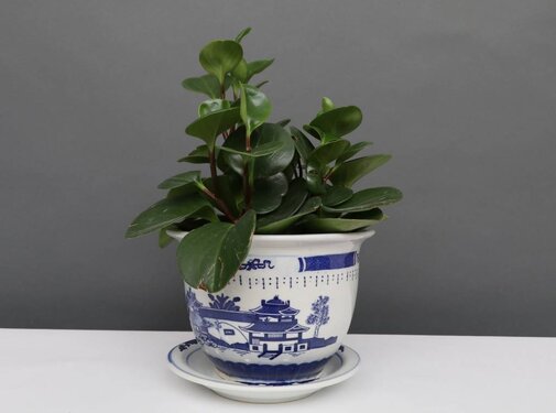 Yajutang Blumentopf Blau-Weiß mit Landschaft Ø22