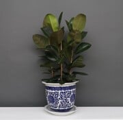 Yajutang Flowerpot Blue-White lotus flowers Ø26
