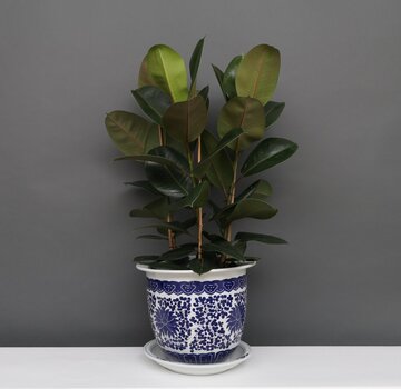 Yajutang Flowerpot Blue-White lotus flowers Ø26