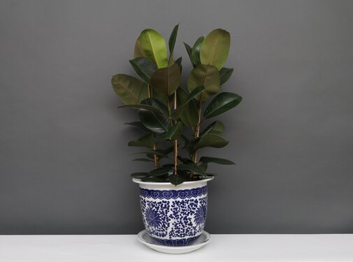 Yajutang Flowerpot Blue-White lotus flowers Ø26