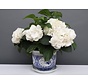 China Porcelain Flowerpot Blue-White with Four Flowers Ø 19
