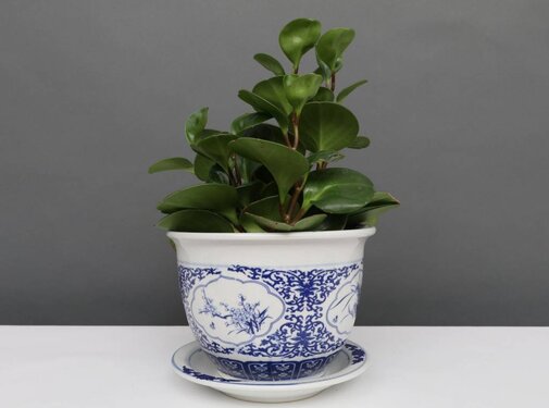 Yajutang Flowerpot Blue-White & Four Flowers Ø16