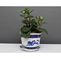 China Porzellan Blumentopf Blau-Weiß mit Landschaft Ø 16