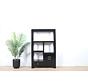 Chinese Black Display Shelf with Cabinet | Yajutang