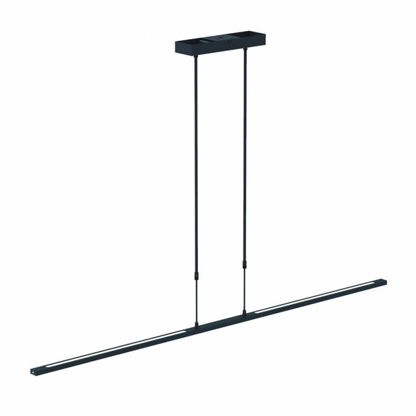 Steinhauer Moderne hanglamp Zelena 150 cm zwart