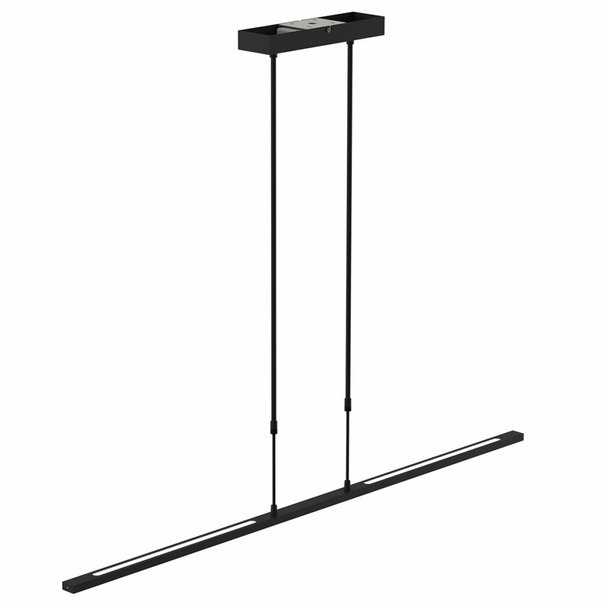 Steinhauer Moderne hanglamp Zelena 122 cm zwart
