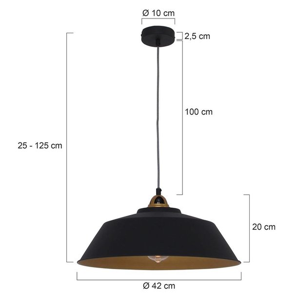 Mexlite Industriële hanglamp Nové 1-lichts zwart