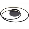 Freelight Moderne plafondlamp Ophelia 24W zwart