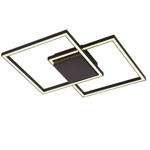 Moderne plafondlamp Falcon 25W zwart