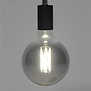 Lichtbron bol|Ø12,5 cm|LED filament Titanium |E27|6W|2700K|180 lm|dimbaar
