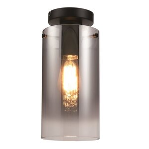 Freelight Moderne plafondlamp Ventotto zwart smoke glas