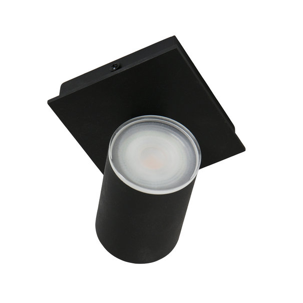 Steinhauer Moderne opbouwspot Points Noirs 1-lichts IP44 zwart