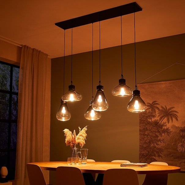 Steinhauer Moderne - Hanglamp - Zwart - 6 lichts - Flere