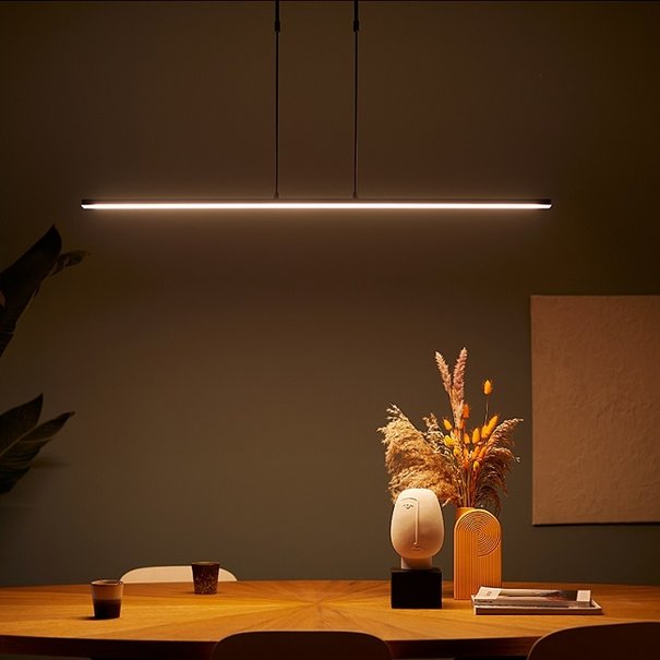 Steinhauer Moderne hanglamp Zelena 122 cm zwart