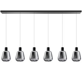 Hanglamp Gary 6-lichts Zwart Smoke Glas