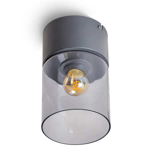 Moderne plafonnière Sledge Ø12 cm met smoke glas