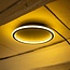 ETH Modern - Plafondlamp - 3 standen - Zwart - Rond - LED - 30w - Lois