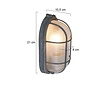 Mexlite Industriële plafondlamp Lisanne 1-lichts grijs
