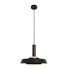 Anne Lighting Retro hanglamp Flinter 1-lichts zwart goud