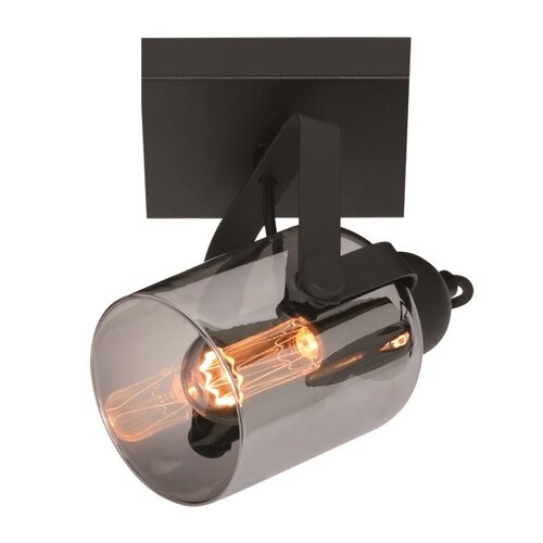 Moderne opbouwspot Fumoso smoke zwart met smoke glas