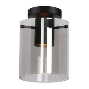 Freelight Moderne plafondlamp Interno zwart met smoke glas