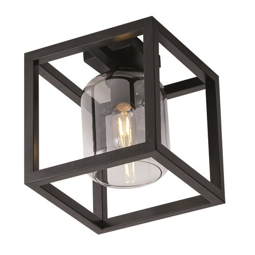Moderne Design plafondlamp Dentro 1-lichts zwart met smoke glas