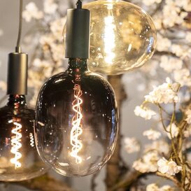 Lichtbron Lumi black E27 4W