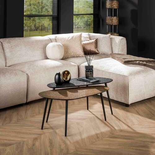Industriële salontafel Cleo 2 set Organisch zwart brons