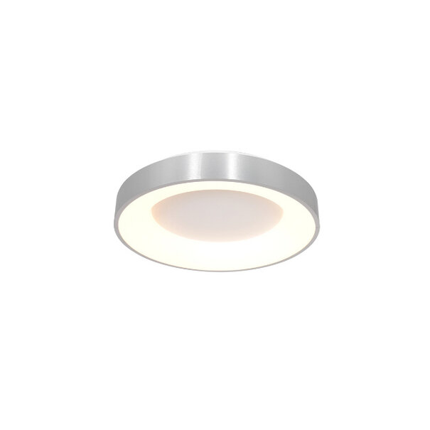 Steinhauer Moderne plafondlamp Ringlede Ø30 cm Zilver