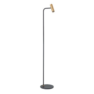 Vloerlamp Trend 1 lichts zwart goud