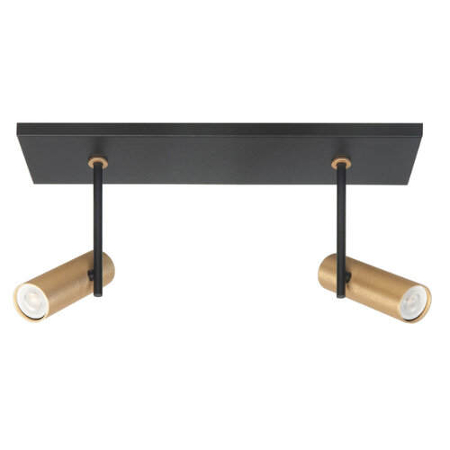 Moderne Industriële opbouwspot Trend 2-lichts goud