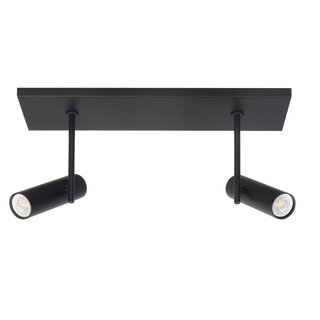 Opbouwspot Trend 2-lichts zwart