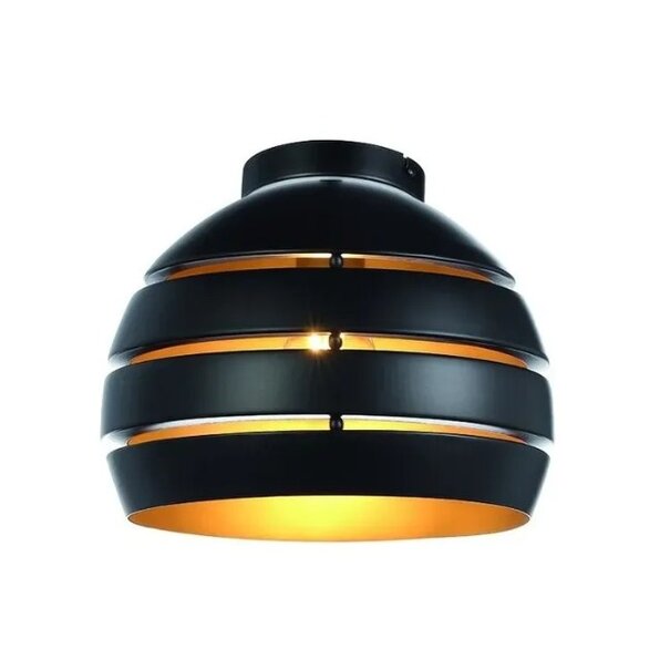 Freelight Moderne Industriële plafondlamp Djarin zwart