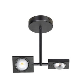 Plafondlamp Jake 2-lichts Zwart