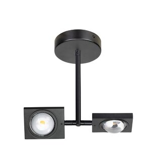 Plafondlamp Jake 2-lichts Zwart