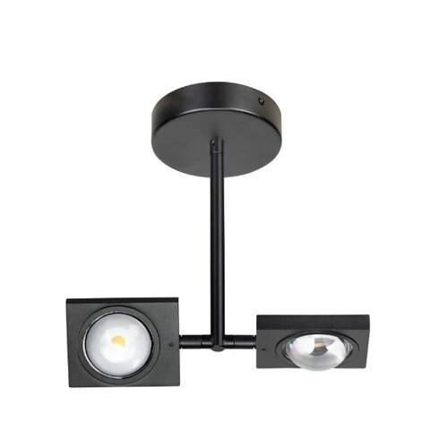 Moderne plafondlamp Jake 2-lichts zwart