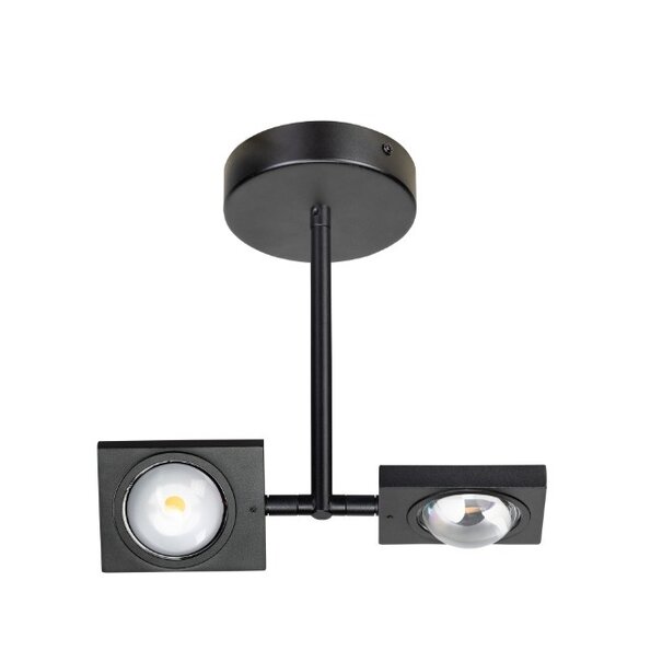 ETH Moderne plafondlamp Jake 2-lichts zwart